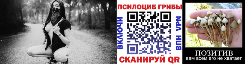 Галлюциногенные грибы ЛСД  OMG как зайти  Орёл 